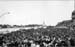 lama